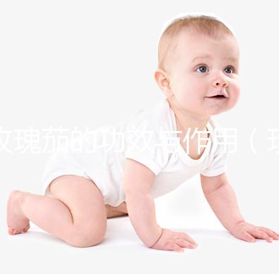 玫瑰茄的功效與作用(玫瑰茄的功效與作用泡水喝的功效)