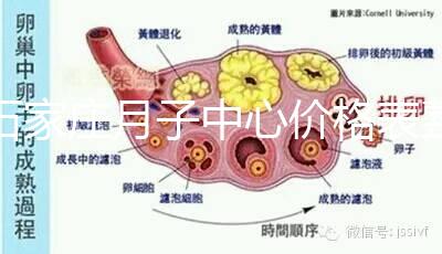 石家莊月子中心價格表整理，長安最貴最好的一家原來是它
