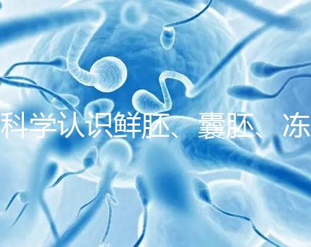 科學認識鮮胚、囊胚、凍胚的區別,同條件成功率對比