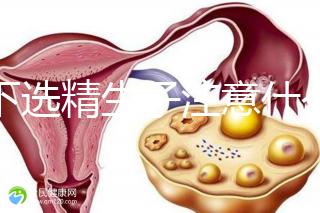 私下選精生子注意什么細節要早知,選擇正規機構最重要