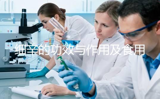 細(xì)辛的功效與作用及食用方法(細(xì)辛燉肉的功效與作用)