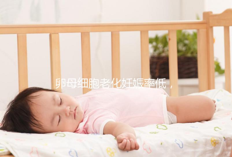 卵母細胞老化妊娠率低，太晚生嬰兒試管也救不了