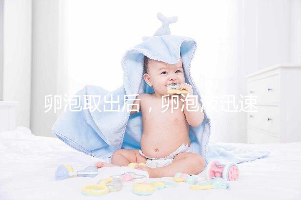 卵泡取出后,卵泡液迅速凝固異常發生了什么事