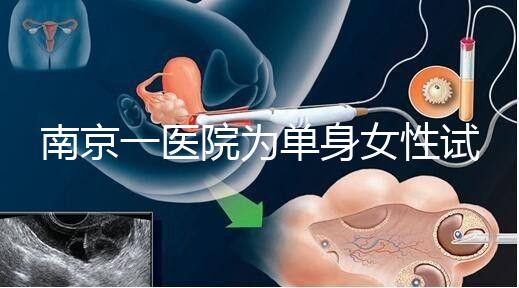 南京一醫(yī)院為單身女性試管助孕引爭議背后：當把生育需求納入法規(guī)框架