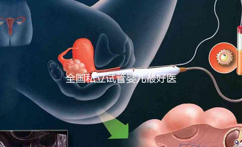 全國私立試管嬰兒最好醫院哪里最好，附醫院推薦