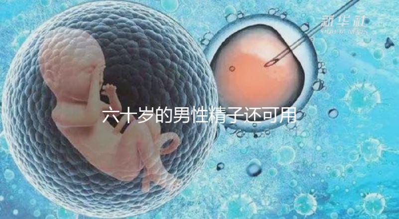 六十歲的男性精子還可用于試管嬰兒生育嗎？