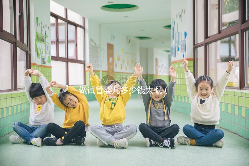 做試管嬰兒多少錢大概（沈陽(yáng)做試管嬰兒多少錢大概）