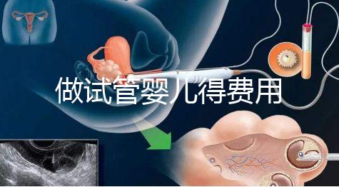 做試管嬰兒得費(fèi)用