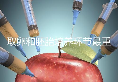 取卵和胚胎培養環節最重要？做試管嬰兒的你一定不知道！