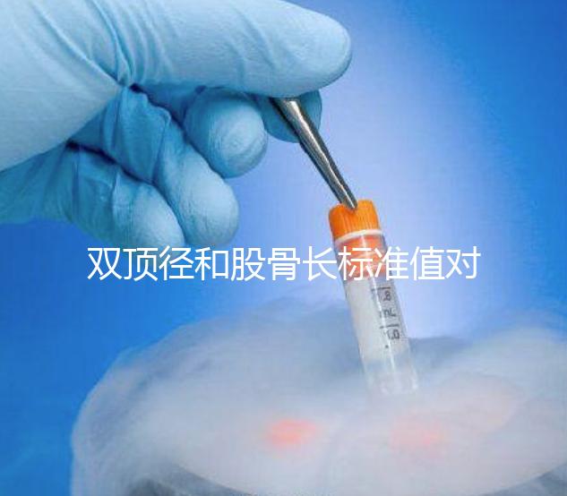 雙頂徑和股骨長標(biāo)準(zhǔn)值對照表，各懷孕周數(shù)差異明顯