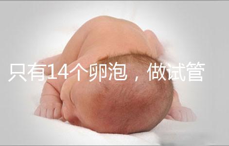 只有14個(gè)卵泡，做試管嬰兒到底要不要養(yǎng)囊？