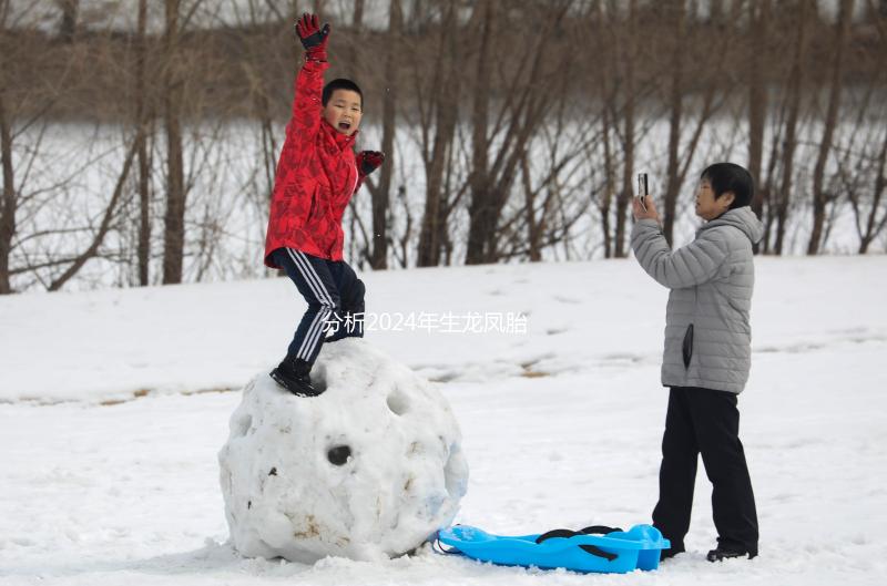 分析2024年生龍鳳胎女性的面部特征，結合手掌準確率超過一半