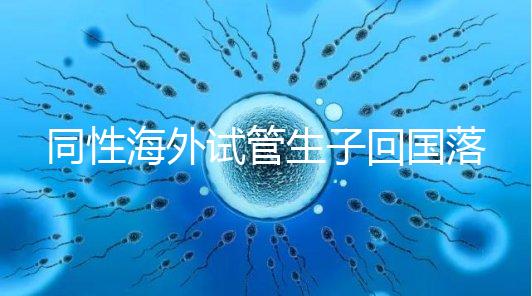 同性海外試管生子回國落戶講方法,男同上戶過程更復(fù)雜