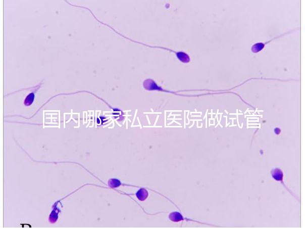 國內哪家私立醫院做試管嬰兒好？統計正規私立試管醫院排名