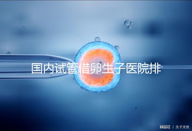 國內(nèi)試管借卵生子醫(yī)院排名(附熱門醫(yī)院推薦)