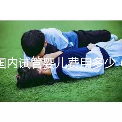 國內(nèi)試管嬰兒費(fèi)用多少（國內(nèi)試管嬰兒費(fèi)用多少錢）
