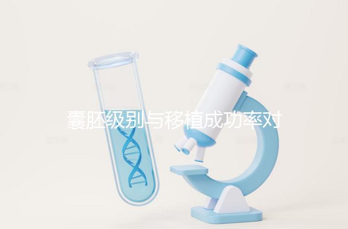 囊胚級別與移植成功率對照表：級別越高成功率越高嗎？