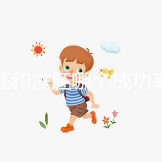 囊胚和凍胚哪個成功率高？試管移植選擇策略解析