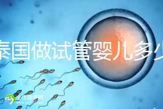 在泰國(guó)做試管嬰兒多少錢(在泰國(guó)做試管嬰兒多少錢?)