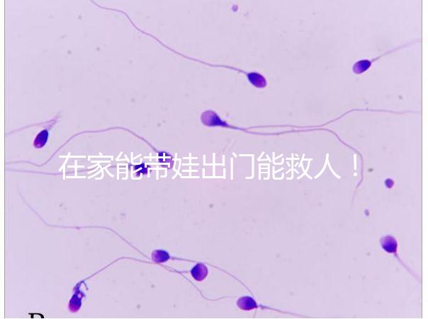 在家能帶娃出門能救人！張云鵬醫(yī)生為救人將孩子塞路人