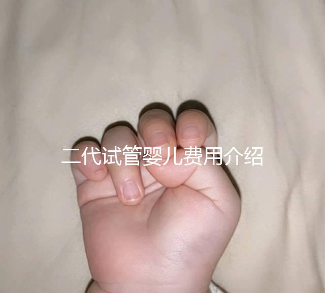 二代試管嬰兒費用介紹
