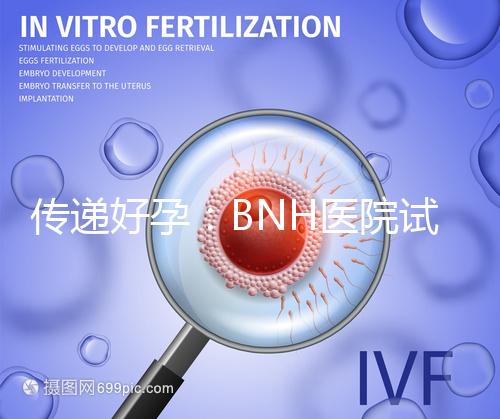 傳遞好孕：BNH醫(yī)院試管嬰兒真實案例及經驗分享