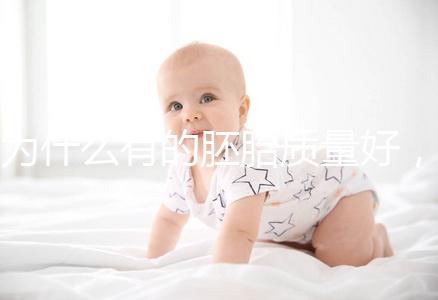 為什么有的胚胎質量好，有的質量差？