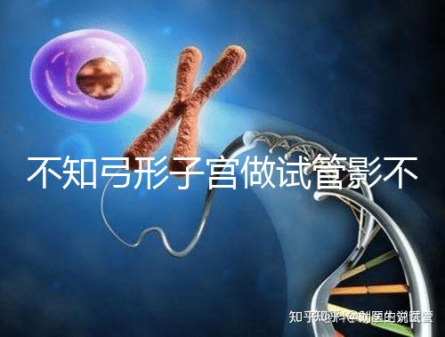 不知弓形子宮做試管影不影響移植速覽，有多危險趁早了解