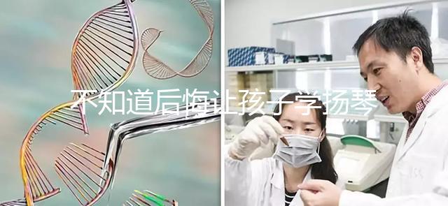 不知道后悔讓孩子學揚琴怎么辦看這，年齡是決定因素