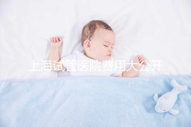 上海試管醫(yī)院費(fèi)用大公開(kāi)！過(guò)來(lái)人表示無(wú)法報(bào)銷(xiāo)真不便宜