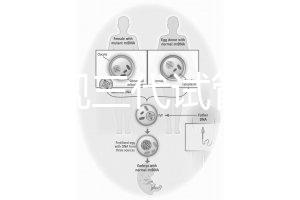 中國正規(guī)三代試管嬰兒機(jī)構(gòu)名單，2025生殖機(jī)構(gòu)排名參考