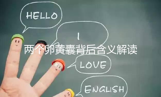 兩個(gè)卵黃囊背后含義解讀：雙胞胎、龍鳳胎都有可能！