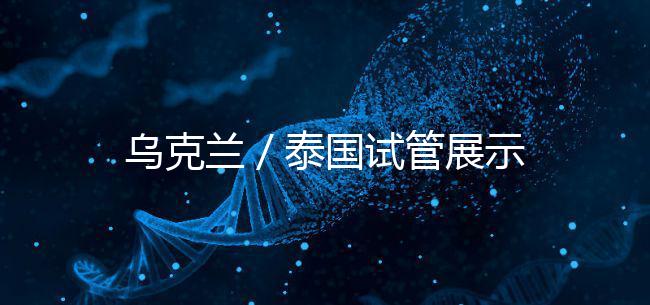 烏克蘭／泰國試管展示