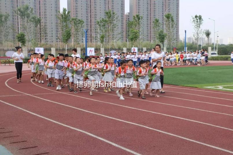 排卵期fsh和lh比值對照參考表速覽，大于2小于3真不正常