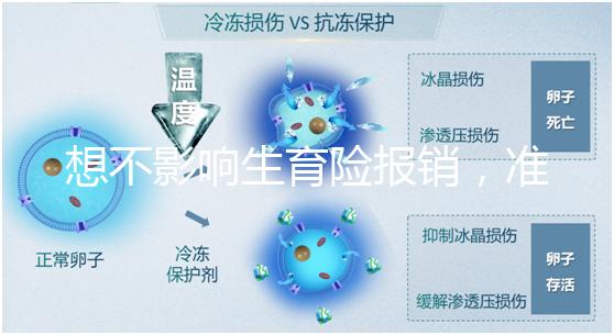 想不影響生育險報銷，準生證最晚得在這個時候辦！