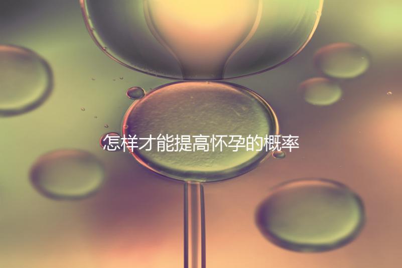 怎樣才能提高懷孕的概率?