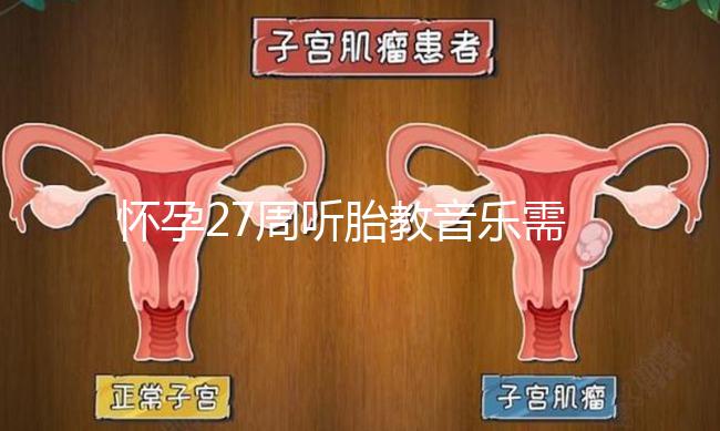 懷孕27周聽胎教音樂(lè)需要多長(zhǎng)時(shí)間?過(guò)長(zhǎng)會(huì)損害聽力