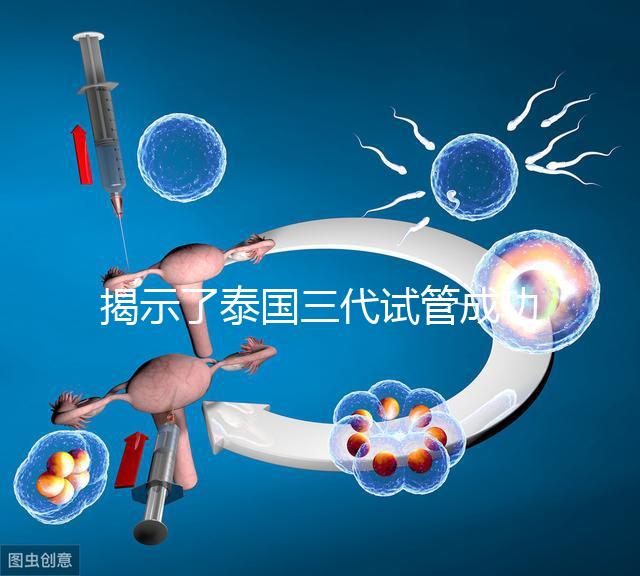 揭示了泰國三代試管成功率高的原因，以及優(yōu)秀的技術(shù) 完美結(jié)合全方位服務(wù)