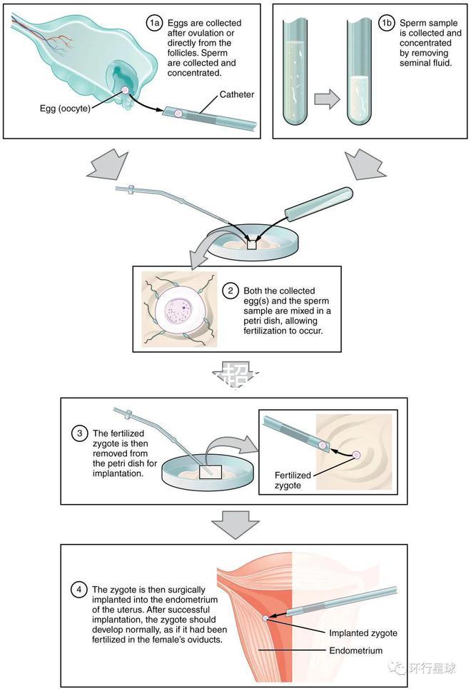 武漢四維彩超費用表整理，內附市婦保院超全預約攻略
