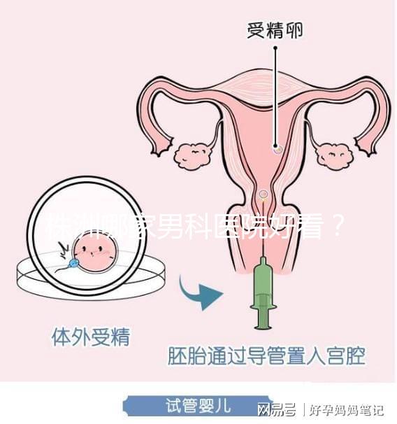 株洲哪家男科醫院好看？這位醫生的專業成本還很低