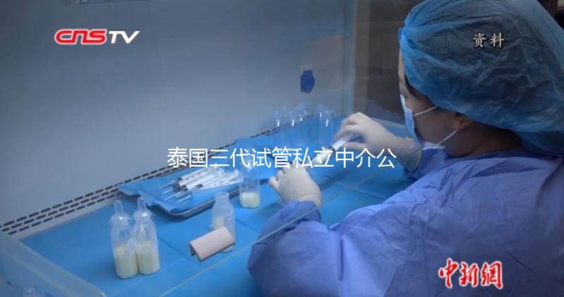 泰國三代試管私立中介公司推薦,排名一目了然,輕松選擇!