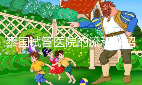 泰國試管醫院的流程介紹,9個步驟全部完成