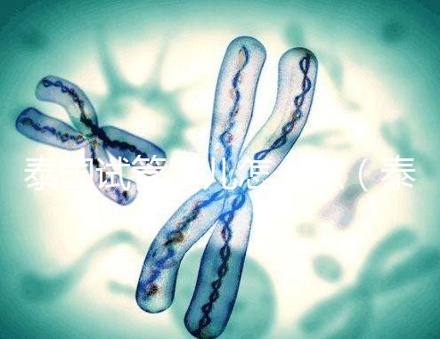 泰國試管嬰兒怎么做(泰國試管嬰兒怎么做手術(shù))