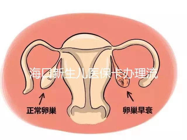 ?？谛律鷥横t(yī)?？ㄞk理流程更新，附2024秀英、龍華區(qū)手續(xù)