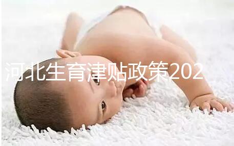 河北生育津貼政策2024，想造石家莊怎么算、多久到賬戳這