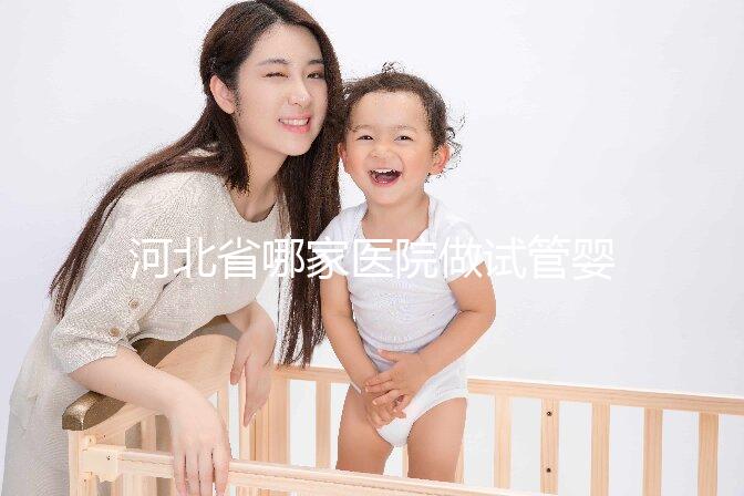 河北省哪家醫(yī)院做試管嬰兒好?附2025年熱門醫(yī)院推薦