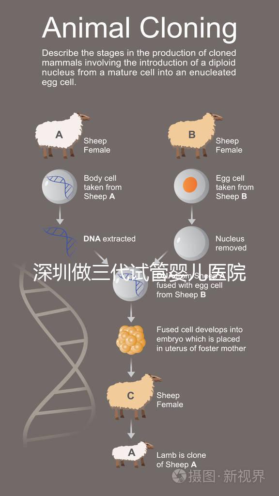 深圳做三代試管嬰兒醫(yī)院前10一覽，排名不分先后