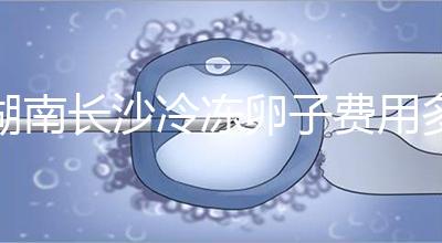 湖南長沙冷凍卵子費用多少？中信湘雅盧光琇教授這樣說...