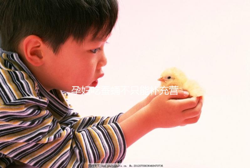 孕婦吃蠶蛹不只能補充營養，80%的人都不知道有這些好處