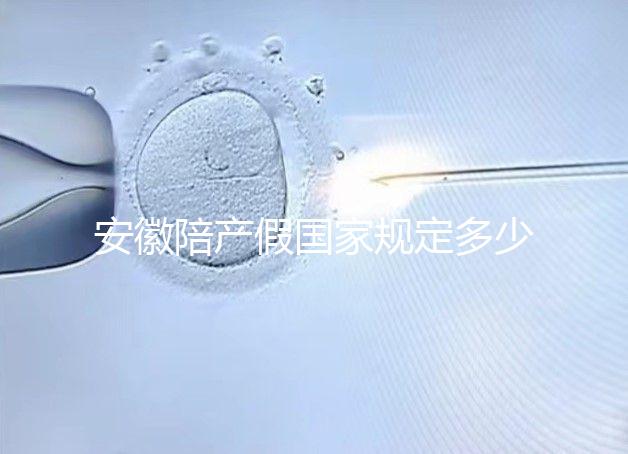 安徽陪產(chǎn)假國(guó)家規(guī)定多少天更新，2024淮南何時(shí)開始執(zhí)行戳